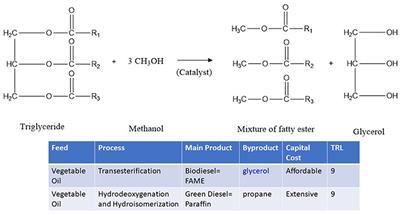 Peculiarities of Glycerol Conversion to Chemicals Over Zeolite-Based Catalysts